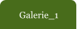 Galerie_1